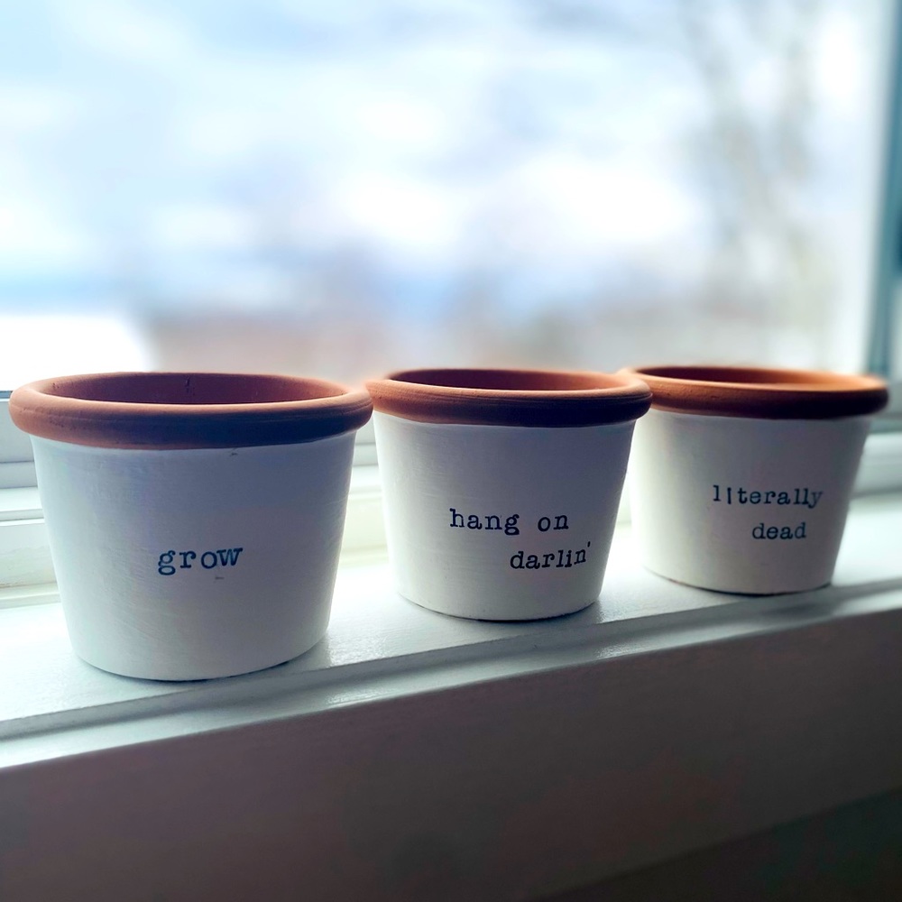 3 Fun Mini 3” Plant Pots